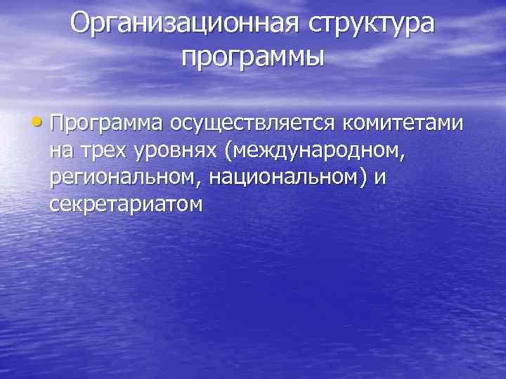   Организационная структура  программы  • Программа осуществляется комитетами  на трех