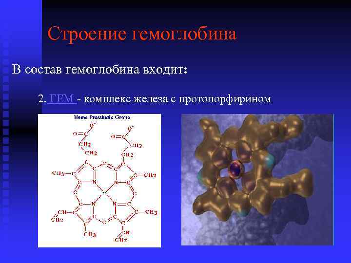 В состав гемоглобина входят ионы