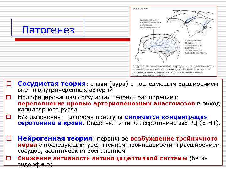  Патогенез o Сосудистая теория: спазм (аура) с последующим расширением вне- и внутричерепных артерий