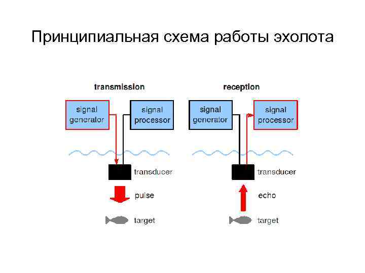 Принципиальная схема работы эхолота 