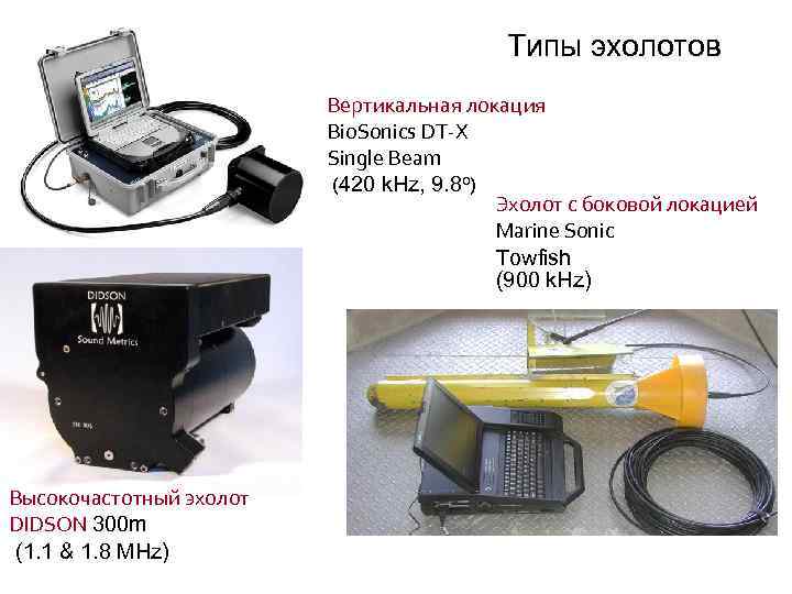 Типы эхолотов Вертикальная локация Bio. Sonics DT-X Single Beam (420 k. Hz, 9. 8