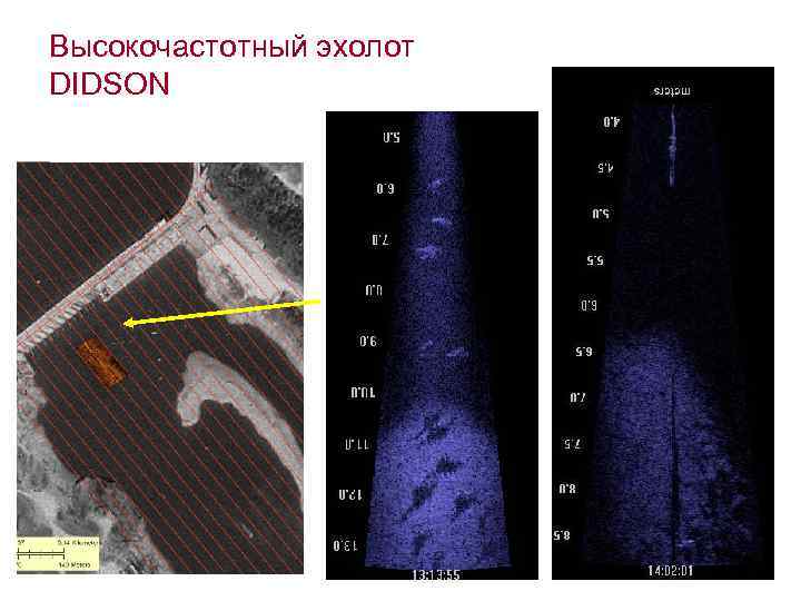 Высокочастотный эхолот DIDSON 