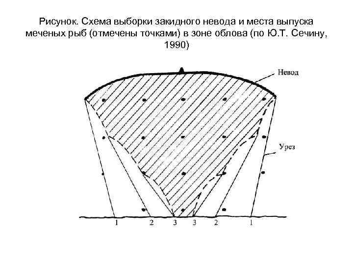 Траловый мешок чертеж