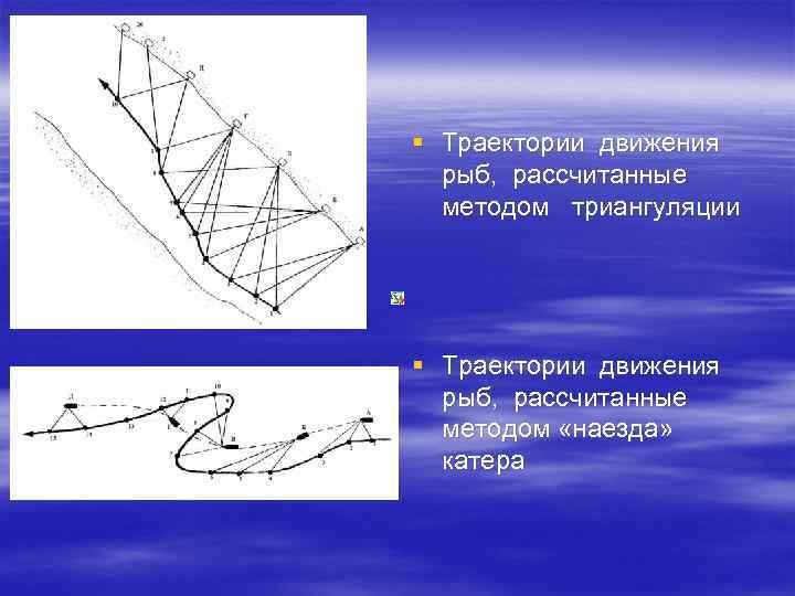 § Траектории движения рыб, рассчитанные методом триангуляции § Траектории движения рыб, рассчитанные методом «наезда»
