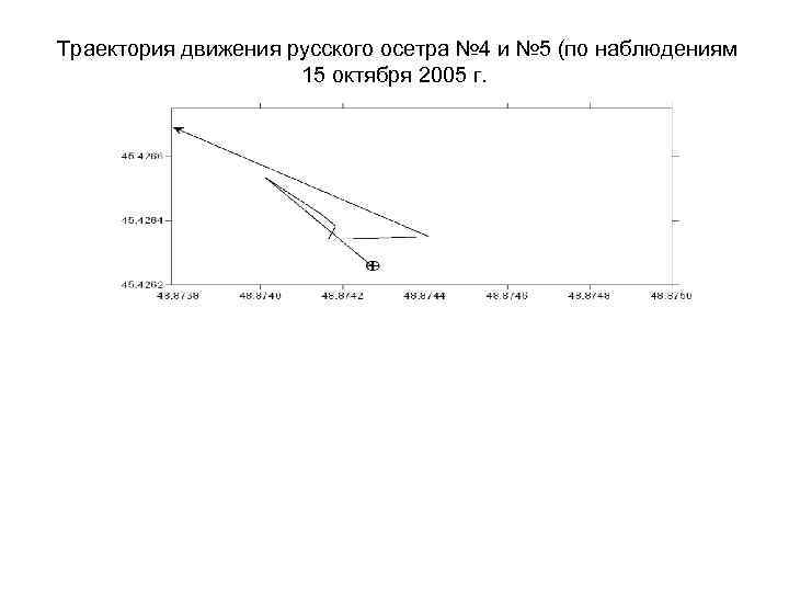 Траектория движения русского осетра № 4 и № 5 (по наблюдениям 15 октября 2005
