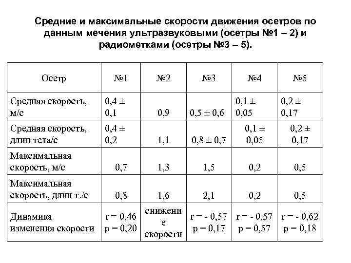 Средние и максимальные скорости движения осетров по данным мечения ультразвуковыми (осетры № 1 –
