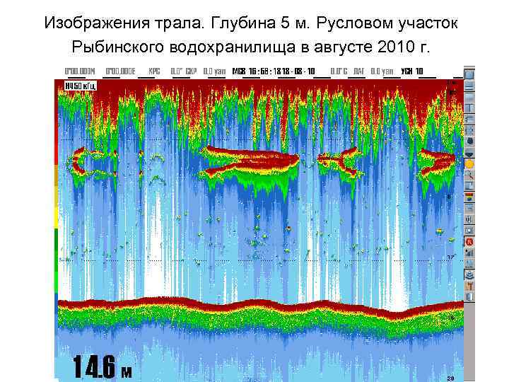 Изображения трала. Глубина 5 м. Русловом участок Рыбинского водохранилища в августе 2010 г. 