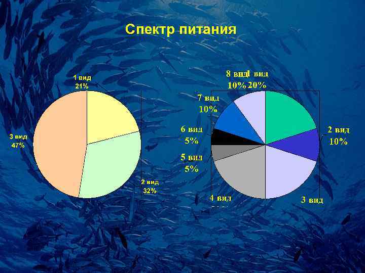 Спектp питания 