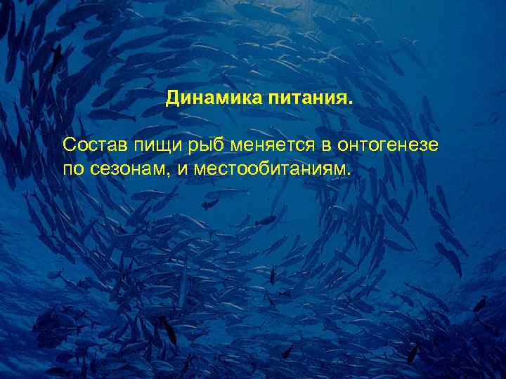    Динамика питания.  Состав пищи рыб меняется в онтогенезе по сезонам,