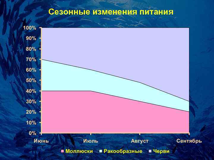 Сезонные изменения питания 