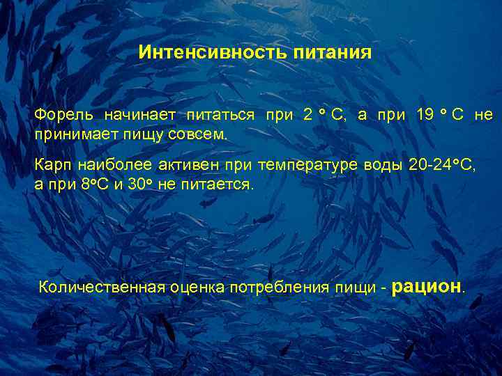   Интенсивность питания  Фоpель начинает питаться пpи 2  о  С,