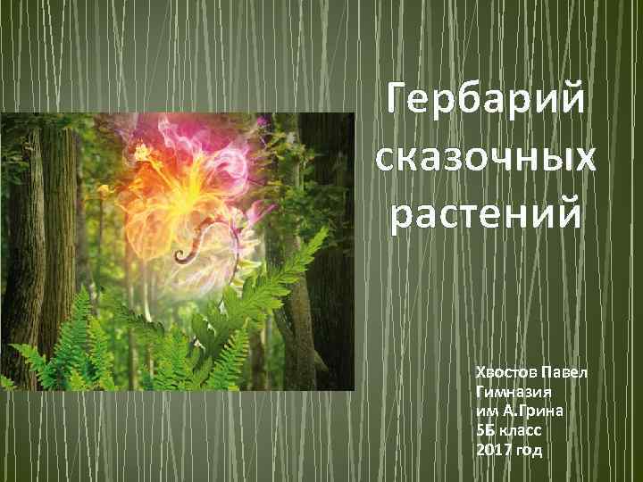  Гербарий сказочных растений  Хвостов Павел Гимназия им А. Грина 5 Б класс
