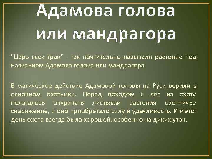   Адамова голова  или мандрагора 