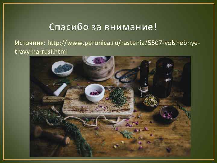    Спасибо за внимание! Источник: http: //www. perunica. ru/rastenia/5507 -volshebnye- travy-na-rusi. html