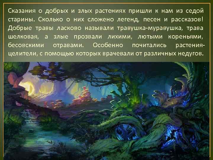 Сказания о добрых и злых растениях пришли к нам из седой старины. Сколько о