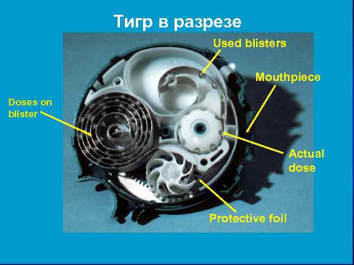   Тигр в разрезе     Used blisters   