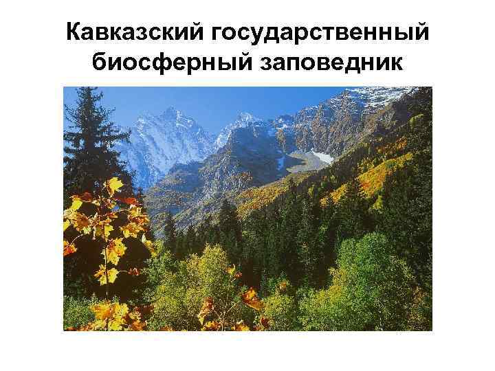Кавказский государственный  биосферный заповедник 