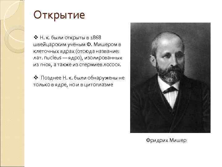 Открытие v Н. к. были открыты в 1868 швейцарским учёным Ф. Мишером в клеточных