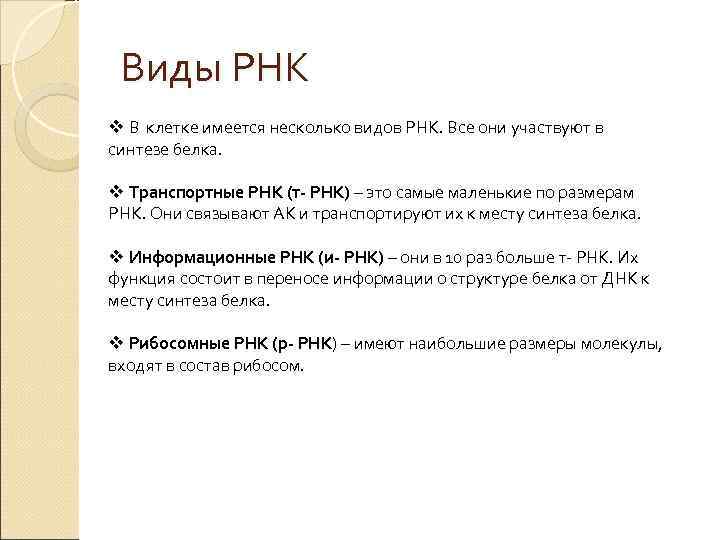  Виды РНК v В клетке имеется несколько видов РНК. Все они участвуют в
