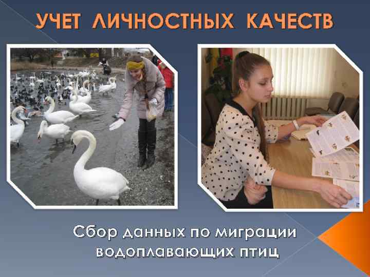 УЧЕТ ЛИЧНОСТНЫХ КАЧЕСТВ  Сбор данных по миграции водоплавающих птиц 