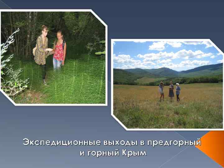 Экспедиционные выходы в предгорный  и горный Крым 