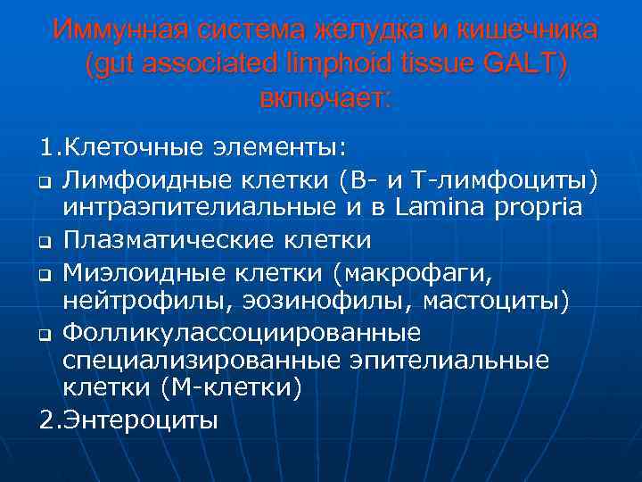 Иммунная система желудка и кишечника  (gut associated limphoid tissue GALT)   включает: