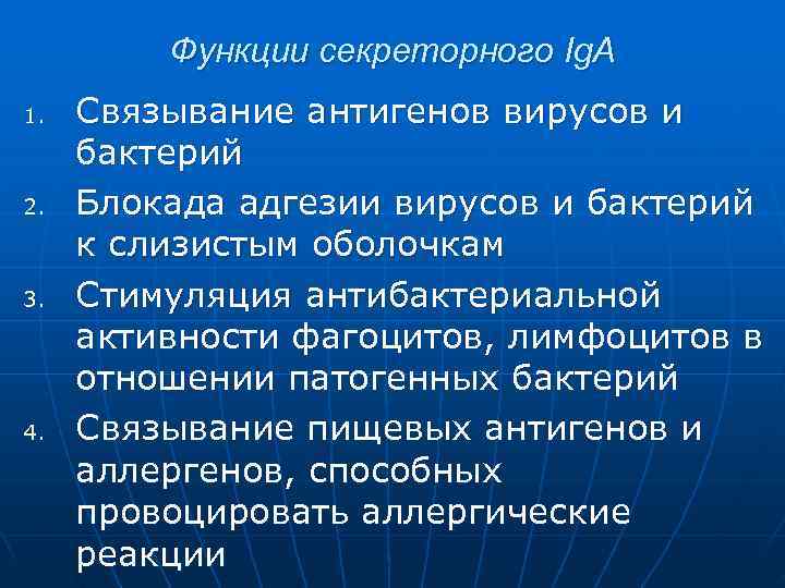    Функции секреторного Ig. A 1.  Связывание антигенов вирусов и бактерий