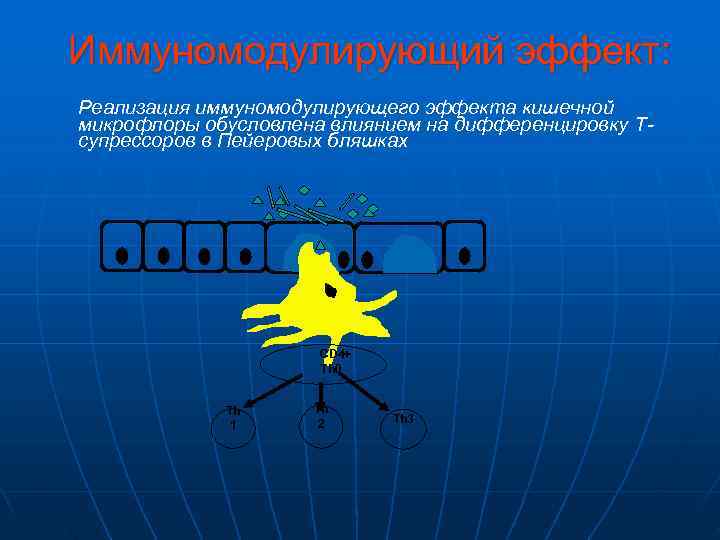 Иммуномодулирующий эффект: Реализация иммуномодулирующего эффекта кишечной микрофлоры обусловлена влиянием на дифференцировку Т- супрессоров в