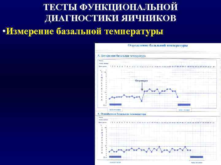  ТЕСТЫ ФУНКЦИОНАЛЬНОЙ   ДИАГНОСТИКИ ЯИЧНИКОВ • Измерение базальной температуры 