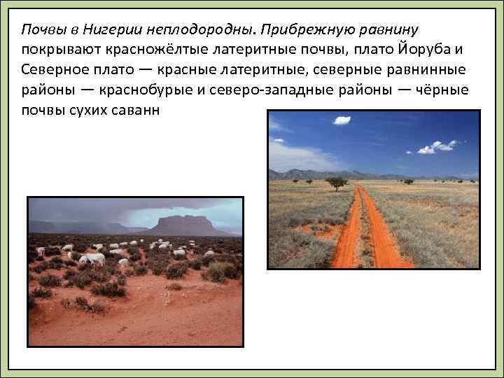 Почвы в Нигерии неплодородны. Прибрежную равнину покрывают красножёлтые латеритные почвы, плато Йоруба и Северное