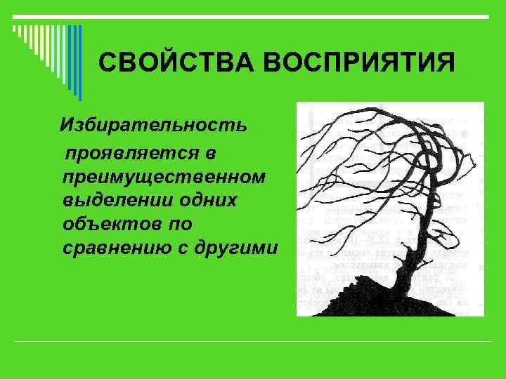   СВОЙСТВА ВОСПРИЯТИЯ Избирательность проявляется в преимущественном выделении одних объектов по сравнению с