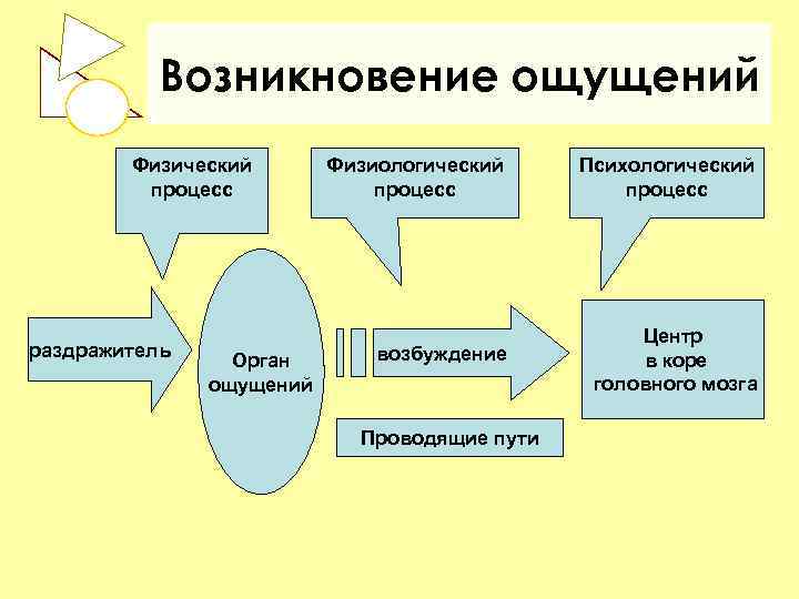    Возникновение ощущений   Физический  Физиологический Психологический   процесс