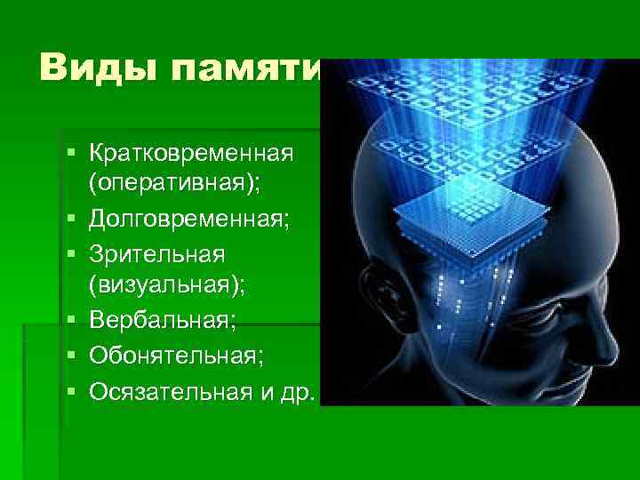 Виды памяти  § Кратковременная  (оперативная);  § Долговременная;  § Зрительная 