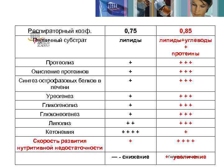   Респираторный коэф.   0, 75   0, 85 Первичный субстрат