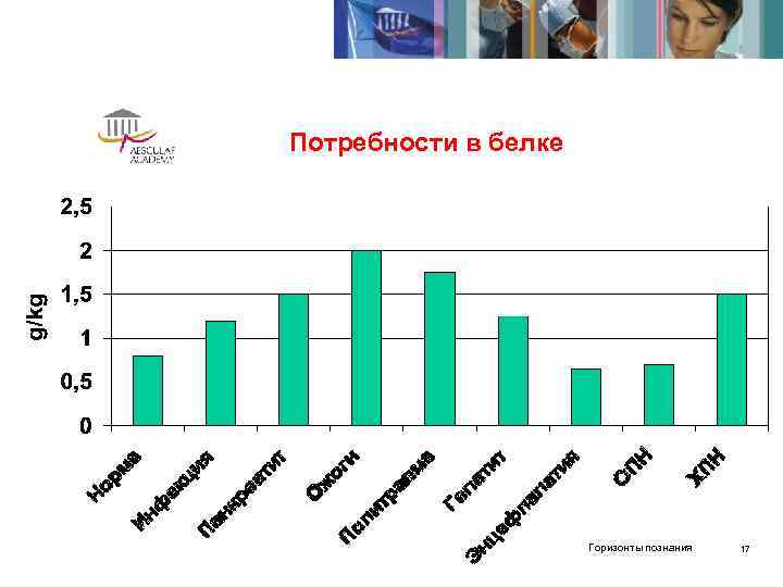 Потребности в белке      Горизонты познания  17 