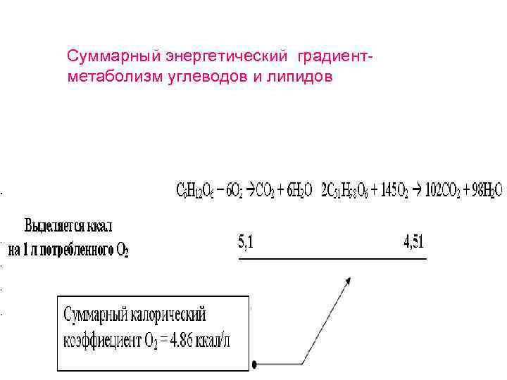 Суммарный энергетический градиент- метаболизм углеводов и липидов 
