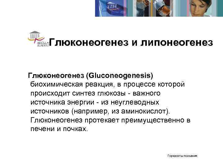 Глюконеогенез и липонеогенез  Глюконеогенез (Gluconeogenesis) биохимическая реакция, в процессе которой происходит синтез