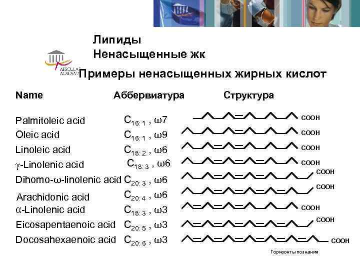     Липиды    Ненасыщенные жк    Примеры