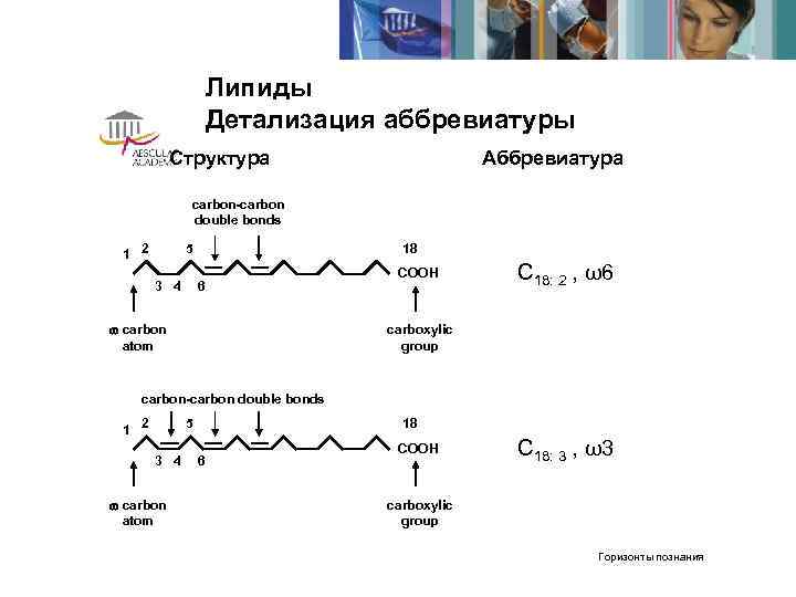      Липиды     Детализация аббревиатуры  Структура