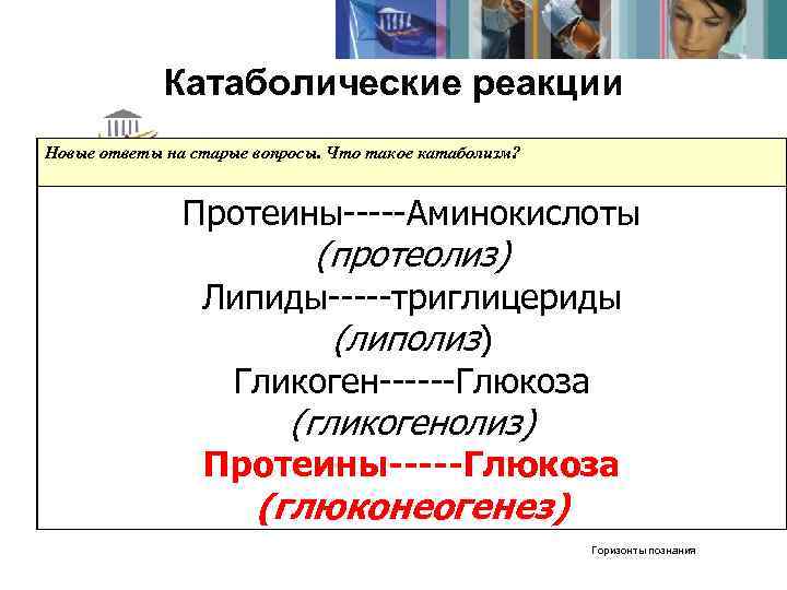    Катаболические реакции Новые ответы на старые вопросы. Что такое катаболизм? 