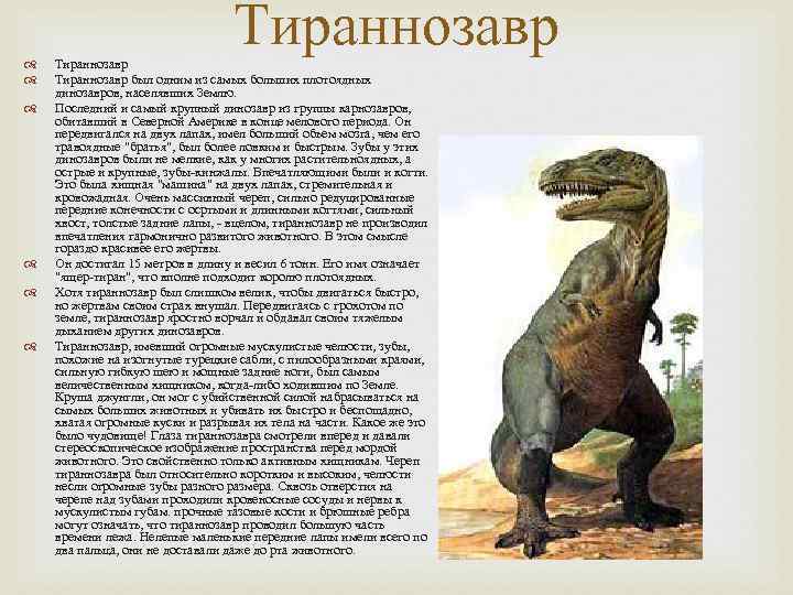 Тираннозавр Тираннозавр был одним из самых больших Тираннозавр Тираннозавр был одним из самых больших
