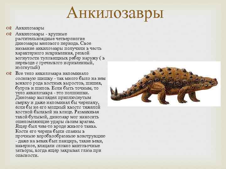 Анкилозавры - крупные растительноядные четвероногие динозавры мелового Анкилозавры - крупные растительноядные четвероногие динозавры мелового