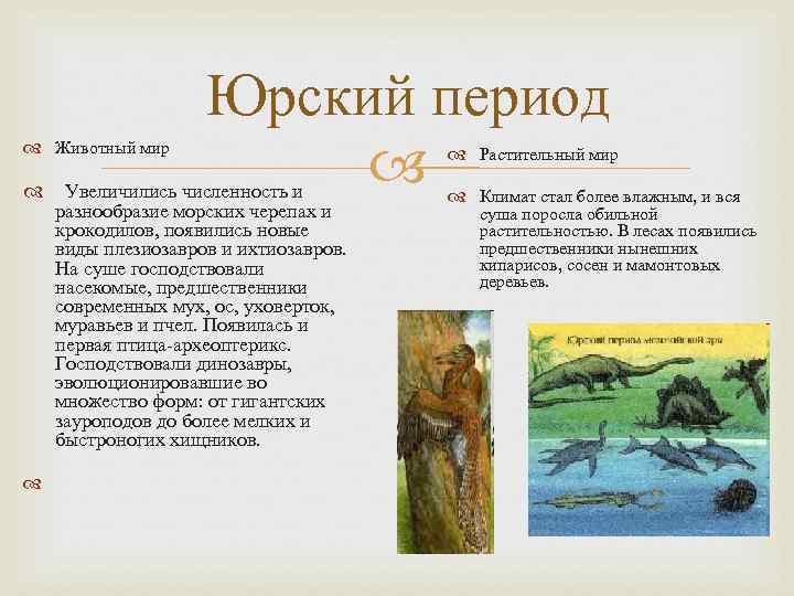 Юрский период Животный мир Юрский период Животный мир