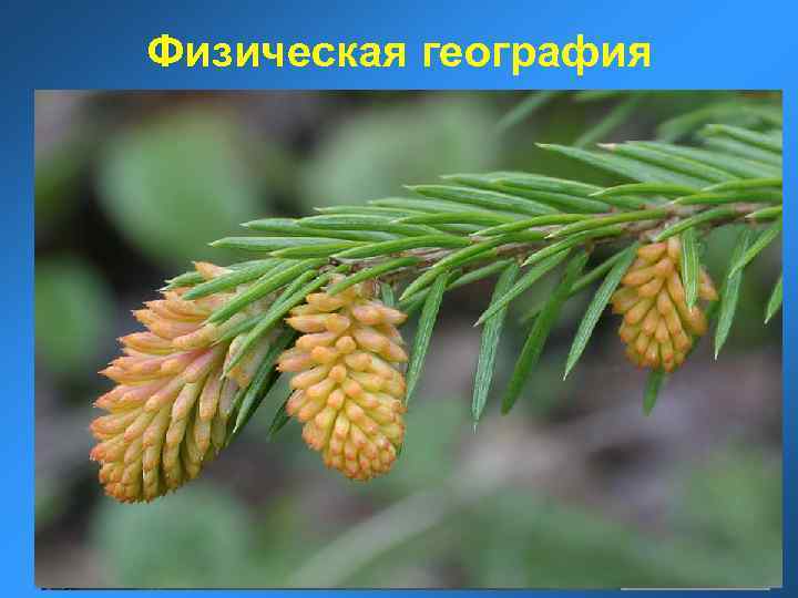 Физическая география 