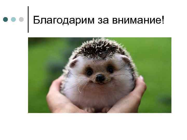 Благодарим за внимание! 