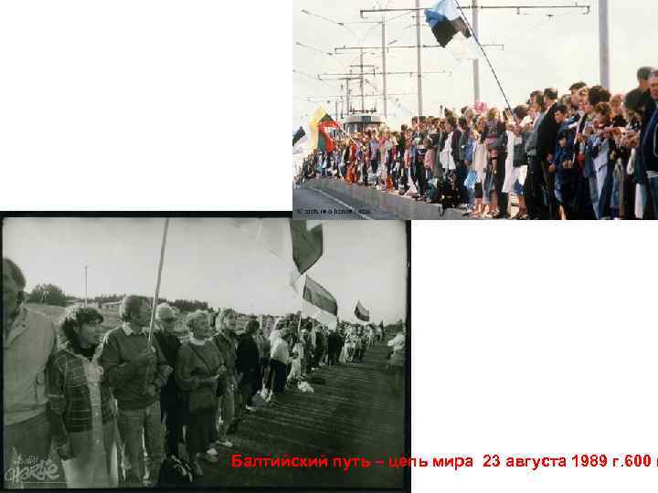 Балтийский путь – цепь мира 23 августа 1989 г. 600 к 