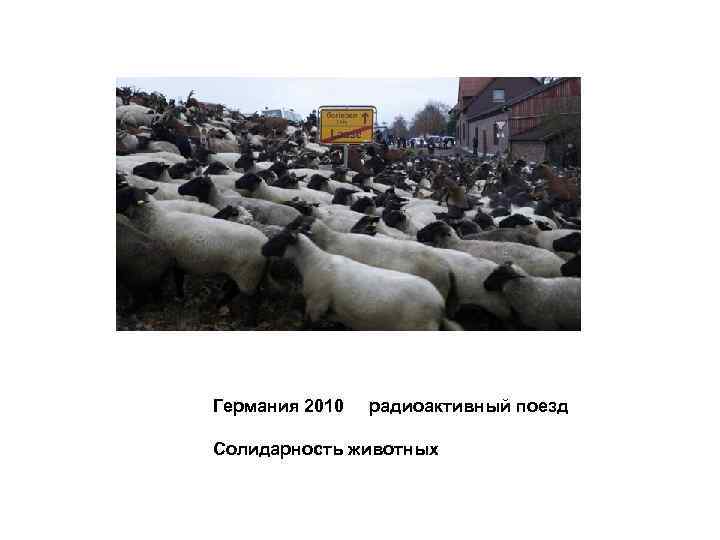 Германия 2010  радиоактивный поезд Солидарность животных 