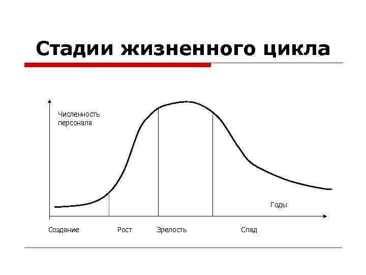 5 стадий жизненного цикла