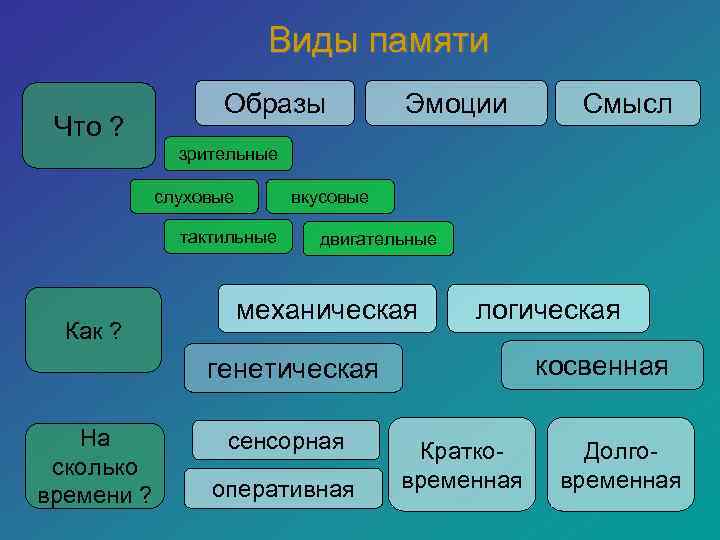      Виды памяти    Образы   Эмоции