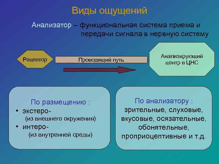    Виды ощущений Анализатор – функциональная система приема и   передачи